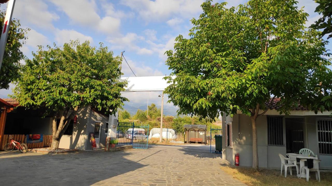 Camping Mitikas And Bungalows Плака Литохору Екстериор снимка