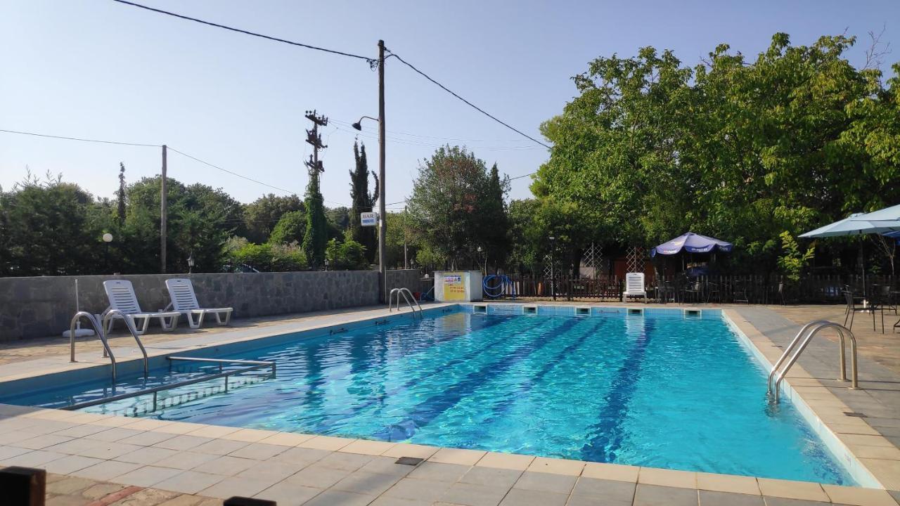 Camping Mitikas And Bungalows Плака Литохору Екстериор снимка