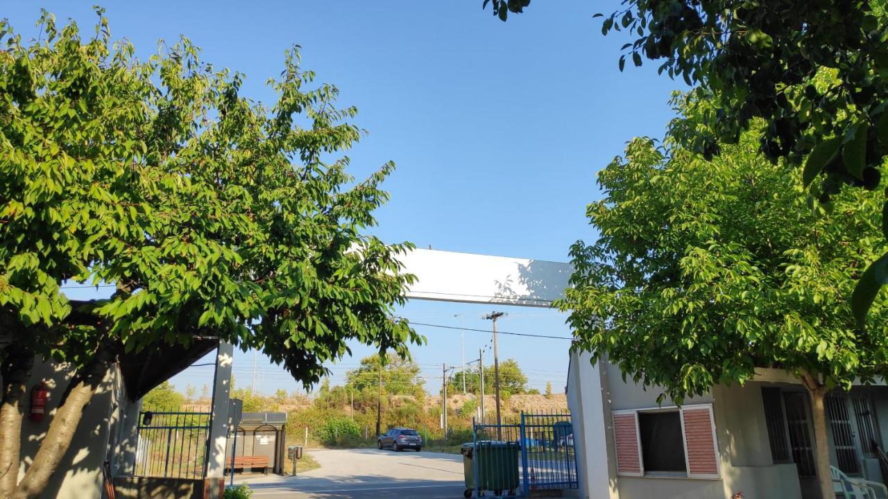 Camping Mitikas And Bungalows Плака Литохору Екстериор снимка
